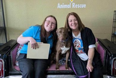 C.A.R.E Animal Rescue: Compassionate Car Dog Care My Caring Dog – Tips, Stories, and Care Guides for Loving Pet Owners C.A.R.E Animal Rescue: Compassionate Car Dog Care | My Caring Dog – Tips, Stories, and Care Guides for Loving Pet Owners