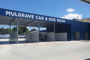 Storm Wash Car And Dog Wash My Caring Dog – Tips, Stories, and Care Guides for Loving Pet Owners Storm Wash Car And Dog Wash | My Caring Dog – Tips, Stories, and Care Guides for Loving Pet Owners