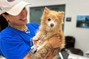 Dog Day Care Gainesville Fl My Caring Dog – Tips, Stories, and Care Guides for Loving Pet Owners Dog Day Care Gainesville Fl | My Caring Dog – Tips, Stories, and Care Guides for Loving Pet Owners