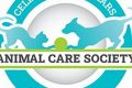 Find Your Furry Friend: Adoptable Dogs My Caring Dog – Tips, Stories, and Care Guides for Loving Pet Owners Find Your Furry Friend: Adoptable Dogs | My Caring Dog – Tips, Stories, and Care Guides for Loving Pet Owners