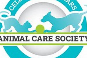 Find Your Furry Friend: Adoptable Dogs My Caring Dog – Tips, Stories, and Care Guides for Loving Pet Owners Find Your Furry Friend: Adoptable Dogs | My Caring Dog – Tips, Stories, and Care Guides for Loving Pet Owners