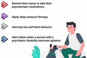 Best Psychiatric Service Dogs in Colorado My Caring Dog – Tips, Stories, and Care Guides for Loving Pet Owners Best Psychiatric Service Dogs in Colorado | My Caring Dog – Tips, Stories, and Care Guides for Loving Pet Owners
