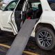Best Dog Ramps For Car Side Door Entry | My Caring Dog – Tips, Stories, and Care Guides for Loving Pet Owners