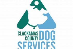 Best Dog Day Care in Clackamas, OR | Top Kennels My Caring Dog – Tips, Stories, and Care Guides for Loving Pet Owners Best Dog Day Care in Clackamas, OR | Top Kennels | My Caring Dog – Tips, Stories, and Care Guides for Loving Pet Owners