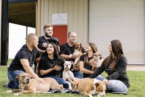 Best Dog Day Care in Regina | Top Kennels My Caring Dog – Tips, Stories, and Care Guides for Loving Pet Owners Best Dog Day Care in Regina | Top Kennels | My Caring Dog – Tips, Stories, and Care Guides for Loving Pet Owners