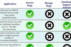 Best Medical Service Dogs: Training & Support My Caring Dog – Tips, Stories, and Care Guides for Loving Pet Owners Best Medical Service Dogs: Training & Support | My Caring Dog – Tips, Stories, and Care Guides for Loving Pet Owners