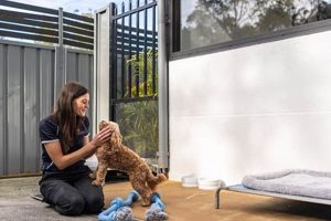 Best Dog Day Care in Dural: Top Facilities My Caring Dog – Tips, Stories, and Care Guides for Loving Pet Owners Best Dog Day Care in Dural: Top Facilities | My Caring Dog – Tips, Stories, and Care Guides for Loving Pet Owners