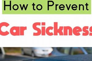 Ultimate Dog Car Sickness Prevention Guide My Caring Dog – Tips, Stories, and Care Guides for Loving Pet Owners Ultimate Dog Car Sickness Prevention Guide | My Caring Dog – Tips, Stories, and Care Guides for Loving Pet Owners