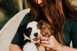 Best Emotional Support Dog Training Guide My Caring Dog – Tips, Stories, and Care Guides for Loving Pet Owners Best Emotional Support Dog Training Guide | My Caring Dog – Tips, Stories, and Care Guides for Loving Pet Owners