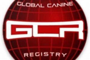 Global Canine Registry My Caring Dog – Tips, Stories, and Care Guides for Loving Pet Owners Global Canine Registry | My Caring Dog – Tips, Stories, and Care Guides for Loving Pet Owners