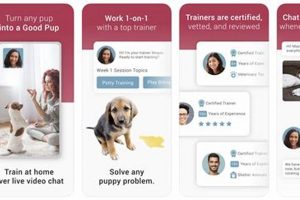 Best Take Care of Dogs App: Top Pet Care Guide My Caring Dog – Tips, Stories, and Care Guides for Loving Pet Owners Best Take Care of Dogs App: Top Pet Care Guide | My Caring Dog – Tips, Stories, and Care Guides for Loving Pet Owners
