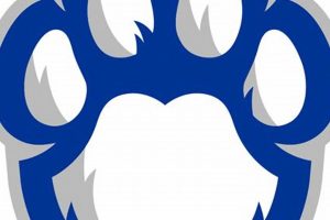 Protect Eastern Illinois Paws: Car Dog Safety My Caring Dog – Tips, Stories, and Care Guides for Loving Pet Owners Protect Eastern Illinois Paws: Car Dog Safety | My Caring Dog – Tips, Stories, and Care Guides for Loving Pet Owners