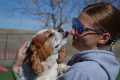 Best Canine Clubs Near Me | Car Dog Adventures My Caring Dog – Tips, Stories, and Care Guides for Loving Pet Owners Best Canine Clubs Near Me | Car Dog Adventures | My Caring Dog – Tips, Stories, and Care Guides for Loving Pet Owners