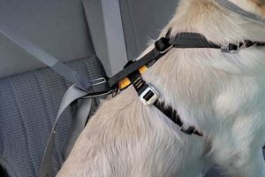 Ultimate Kurgo Dog Car Harness Instructions Guide My Caring Dog – Tips, Stories, and Care Guides for Loving Pet Owners Ultimate Kurgo Dog Car Harness Instructions Guide | My Caring Dog – Tips, Stories, and Care Guides for Loving Pet Owners