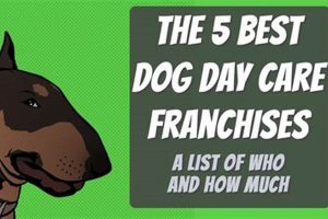 Best Dog Day Care Franchises: Top Choices My Caring Dog – Tips, Stories, and Care Guides for Loving Pet Owners Best Dog Day Care Franchises: Top Choices | My Caring Dog – Tips, Stories, and Care Guides for Loving Pet Owners