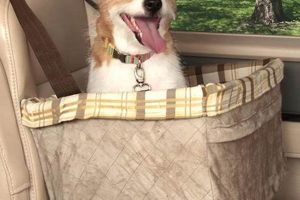 Best Dog Car Seat Boosters for Safe Travels My Caring Dog – Tips, Stories, and Care Guides for Loving Pet Owners Best Dog Car Seat Boosters for Safe Travels | My Caring Dog – Tips, Stories, and Care Guides for Loving Pet Owners