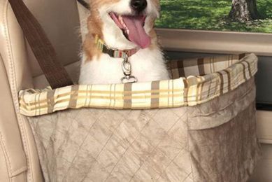 Best Dog Car Seat Boosters for Safe Travels My Caring Dog – Tips, Stories, and Care Guides for Loving Pet Owners Best Dog Car Seat Boosters for Safe Travels | My Caring Dog – Tips, Stories, and Care Guides for Loving Pet Owners