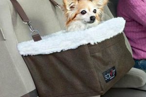 Top Solvit Products Dog Car Seats for Safe Travels My Caring Dog – Tips, Stories, and Care Guides for Loving Pet Owners Top Solvit Products Dog Car Seats for Safe Travels | My Caring Dog – Tips, Stories, and Care Guides for Loving Pet Owners