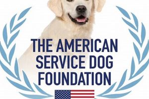 American Service Dog Training & Certification My Caring Dog – Tips, Stories, and Care Guides for Loving Pet Owners American Service Dog Training & Certification | My Caring Dog – Tips, Stories, and Care Guides for Loving Pet Owners