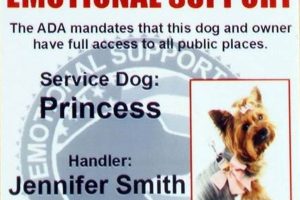 Find Free Emotional Support Dogs Near You Now My Caring Dog – Tips, Stories, and Care Guides for Loving Pet Owners Find Free Emotional Support Dogs Near You Now | My Caring Dog – Tips, Stories, and Care Guides for Loving Pet Owners