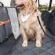 Best Dog Car Hammock with Seat Belt for Safe Travels | My Caring Dog – Tips, Stories, and Care Guides for Loving Pet Owners