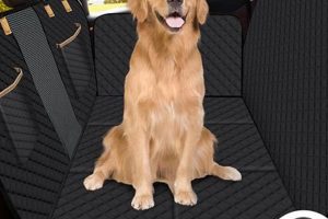 Best Car Dog Blankets for Travel & Protection My Caring Dog – Tips, Stories, and Care Guides for Loving Pet Owners Best Car Dog Blankets for Travel & Protection | My Caring Dog – Tips, Stories, and Care Guides for Loving Pet Owners