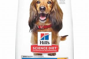 Hill's Science Diet Dental Care Dog Food My Caring Dog – Tips, Stories, and Care Guides for Loving Pet Owners Hill's Science Diet Dental Care Dog Food | My Caring Dog – Tips, Stories, and Care Guides for Loving Pet Owners