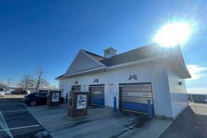 Black Dog Car Wash Nh My Caring Dog – Tips, Stories, and Care Guides for Loving Pet Owners Black Dog Car Wash Nh | My Caring Dog – Tips, Stories, and Care Guides for Loving Pet Owners