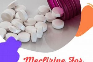 Can Dogs Use Meclizine for Car Sickness Relief? My Caring Dog – Tips, Stories, and Care Guides for Loving Pet Owners Can Dogs Use Meclizine for Car Sickness Relief? | My Caring Dog – Tips, Stories, and Care Guides for Loving Pet Owners