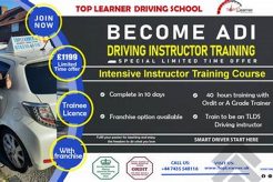 Adi Training My Caring Dog – Tips, Stories, and Care Guides for Loving Pet Owners Adi Training | My Caring Dog – Tips, Stories, and Care Guides for Loving Pet Owners
