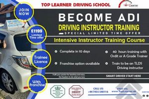 Adi Training My Caring Dog – Tips, Stories, and Care Guides for Loving Pet Owners Adi Training | My Caring Dog – Tips, Stories, and Care Guides for Loving Pet Owners