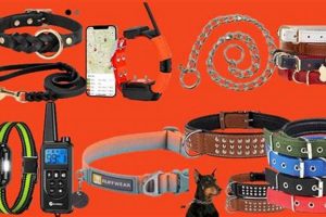 Best Pet Care Dog Collars for Comfort & Safety My Caring Dog – Tips, Stories, and Care Guides for Loving Pet Owners Best Pet Care Dog Collars for Comfort & Safety | My Caring Dog – Tips, Stories, and Care Guides for Loving Pet Owners