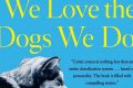 Car Dogs: What We Do With Our Canine Companions My Caring Dog – Tips, Stories, and Care Guides for Loving Pet Owners Car Dogs: What We Do With Our Canine Companions | My Caring Dog – Tips, Stories, and Care Guides for Loving Pet Owners