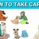 The Ultimate Guide to Taking Care of a Dog | My Caring Dog – Tips, Stories, and Care Guides for Loving Pet Owners