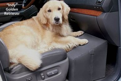 Best Front Seat Car Dog Beds & Carriers My Caring Dog – Tips, Stories, and Care Guides for Loving Pet Owners Best Front Seat Car Dog Beds & Carriers | My Caring Dog – Tips, Stories, and Care Guides for Loving Pet Owners