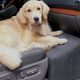 Best Front Seat Car Dog Beds & Carriers | My Caring Dog – Tips, Stories, and Care Guides for Loving Pet Owners