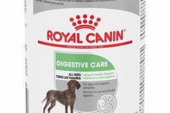 Wet Digestive Care Dog Food My Caring Dog – Tips, Stories, and Care Guides for Loving Pet Owners Wet Digestive Care Dog Food | My Caring Dog – Tips, Stories, and Care Guides for Loving Pet Owners