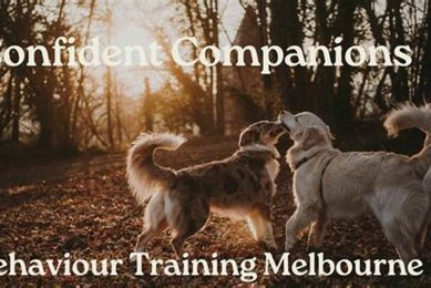 Confident Companions My Caring Dog – Tips, Stories, and Care Guides for Loving Pet Owners Confident Companions | My Caring Dog – Tips, Stories, and Care Guides for Loving Pet Owners