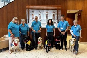 Kansas Service Dogs: Your Guide & Resources My Caring Dog – Tips, Stories, and Care Guides for Loving Pet Owners Kansas Service Dogs: Your Guide & Resources | My Caring Dog – Tips, Stories, and Care Guides for Loving Pet Owners