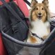 Best Car Dog Carrier Seats: Safe & Secure Travel | My Caring Dog – Tips, Stories, and Care Guides for Loving Pet Owners