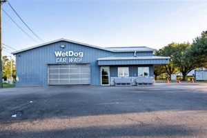 Best Wet Dog Car Wash in Easton, MD My Caring Dog – Tips, Stories, and Care Guides for Loving Pet Owners Best Wet Dog Car Wash in Easton, MD | My Caring Dog – Tips, Stories, and Care Guides for Loving Pet Owners