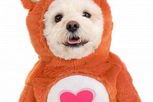 Care Bear Costumes For Dogs My Caring Dog – Tips, Stories, and Care Guides for Loving Pet Owners Care Bear Costumes For Dogs | My Caring Dog – Tips, Stories, and Care Guides for Loving Pet Owners