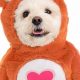 Care Bear Costumes For Dogs | My Caring Dog – Tips, Stories, and Care Guides for Loving Pet Owners