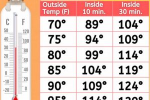 Danger! What Temp Is Too Hot For Dogs In Cars? Facts My Caring Dog – Tips, Stories, and Care Guides for Loving Pet Owners Danger! What Temp Is Too Hot For Dogs In Cars? Facts | My Caring Dog – Tips, Stories, and Care Guides for Loving Pet Owners
