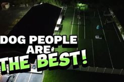 Best Dog Day Care in Troy, MI | Top Centers My Caring Dog – Tips, Stories, and Care Guides for Loving Pet Owners Best Dog Day Care in Troy, MI | Top Centers | My Caring Dog – Tips, Stories, and Care Guides for Loving Pet Owners