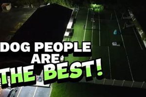 Best Dog Day Care in Troy, MI | Top Centers My Caring Dog – Tips, Stories, and Care Guides for Loving Pet Owners Best Dog Day Care in Troy, MI | Top Centers | My Caring Dog – Tips, Stories, and Care Guides for Loving Pet Owners