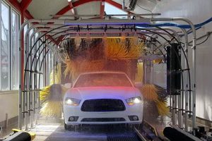 Find the Top Dog Spotless Car Wash Near You Now! My Caring Dog – Tips, Stories, and Care Guides for Loving Pet Owners Find the Top Dog Spotless Car Wash Near You Now! | My Caring Dog – Tips, Stories, and Care Guides for Loving Pet Owners