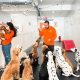 Best Dog Day Care in Eatontown NJ: Top Picks | My Caring Dog – Tips, Stories, and Care Guides for Loving Pet Owners