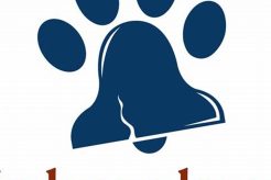 Independence Dog Training My Caring Dog – Tips, Stories, and Care Guides for Loving Pet Owners Independence Dog Training | My Caring Dog – Tips, Stories, and Care Guides for Loving Pet Owners