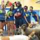 Best Dog Day Care in Hawaii: Top Centers | My Caring Dog – Tips, Stories, and Care Guides for Loving Pet Owners